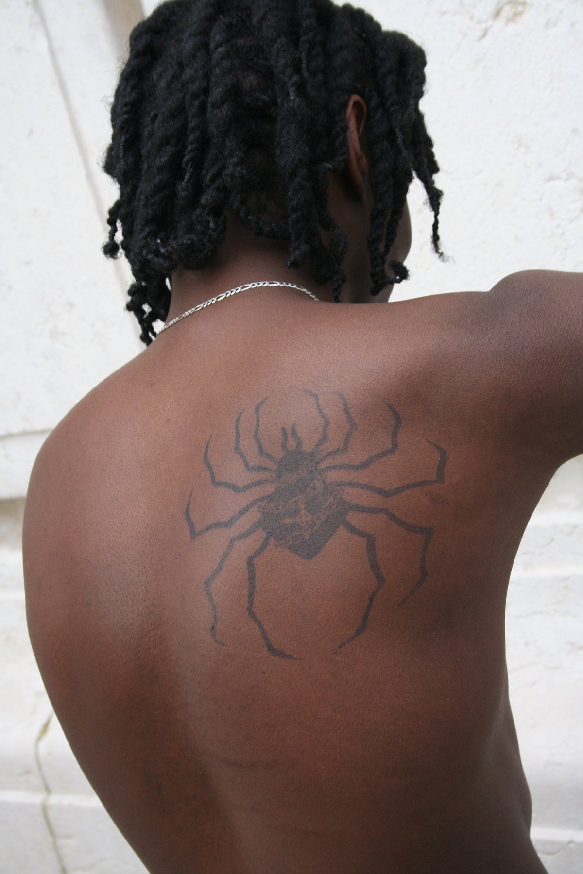 files/Hunter_x_Hunter_inspired_spider.jpg